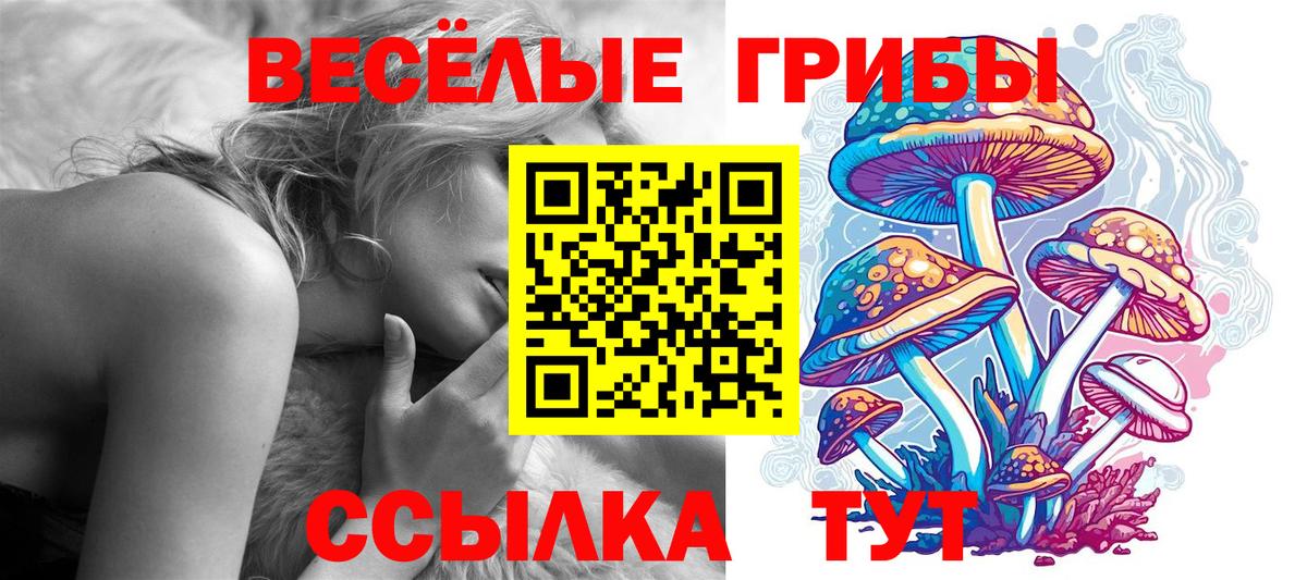 Псилоцибиновые грибы Psilocybe Батайск