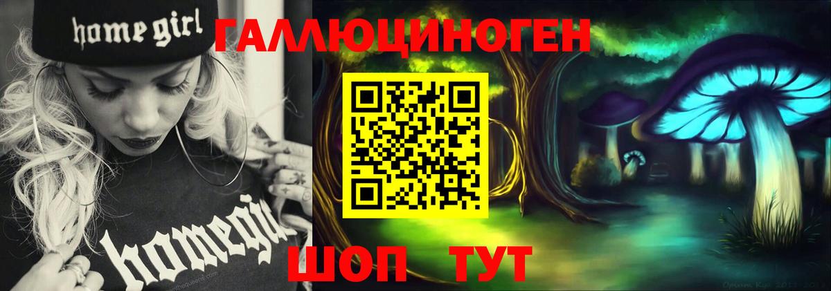 Галлюциногенные грибы Psilocybe  Вход с VPN  Батайск  Псилоцибиновые грибы прущие грибы 